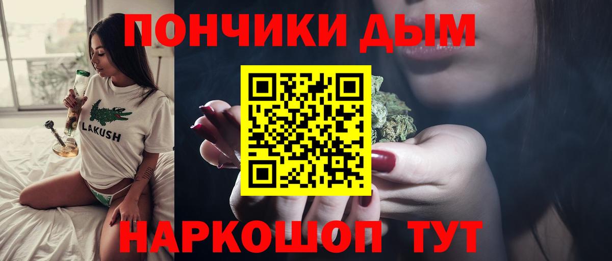 Бошки Шишки планчик Дубна