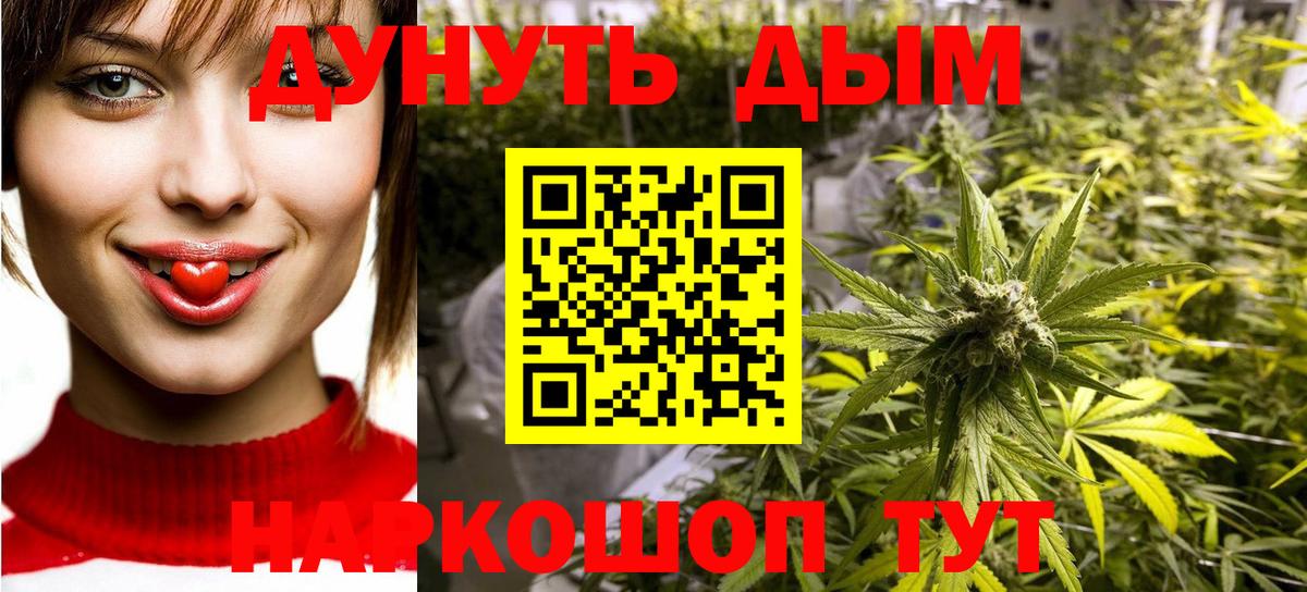 Дубна  Канабис планчик  Шишки марихуана гибрид  Вход с VPN 
